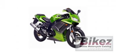 2012 Shineray XY-250 3 photo